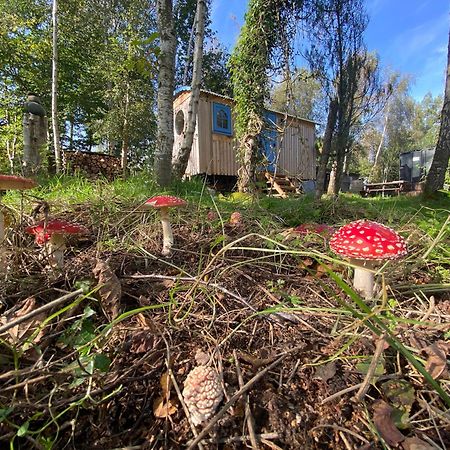 Sapphire Forest Garden Shepherd'S Hut Чърч Стретън Екстериор снимка