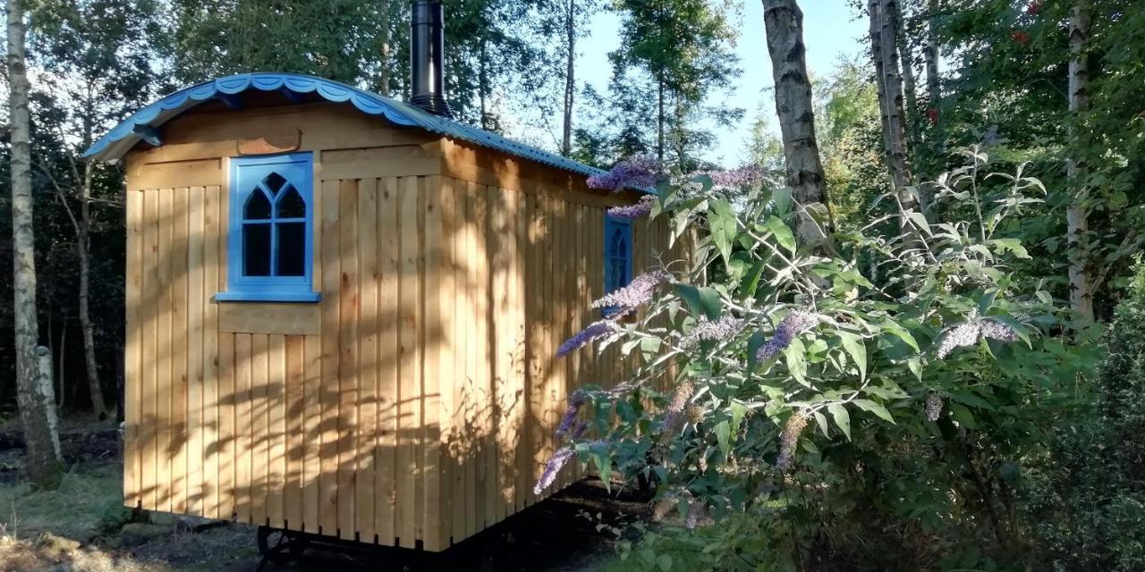 Sapphire Forest Garden Shepherd'S Hut Чърч Стретън Екстериор снимка