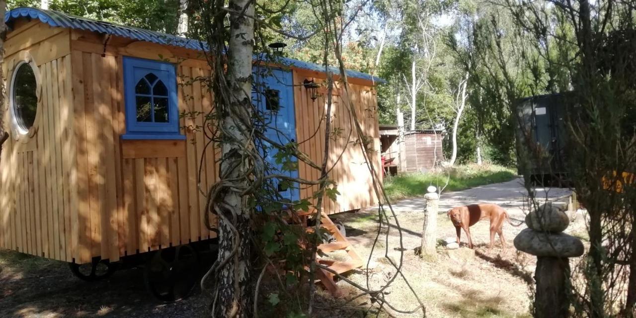 Sapphire Forest Garden Shepherd'S Hut Чърч Стретън Екстериор снимка