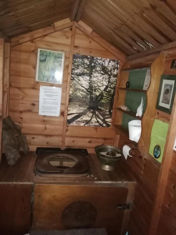 Sapphire Forest Garden Shepherd'S Hut Чърч Стретън Екстериор снимка