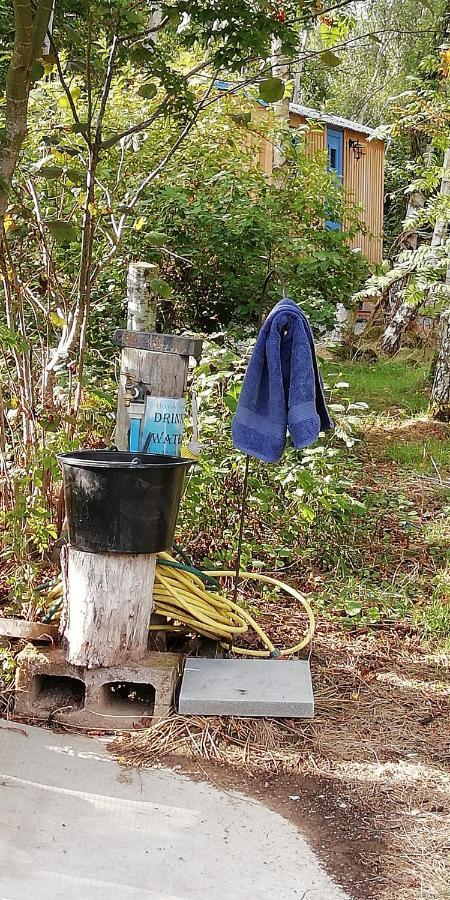 Sapphire Forest Garden Shepherd'S Hut Чърч Стретън Екстериор снимка