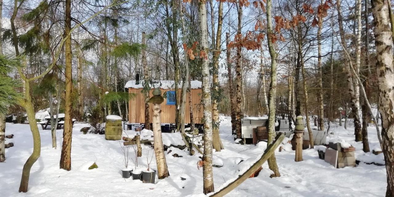Sapphire Forest Garden Shepherd'S Hut Чърч Стретън Екстериор снимка